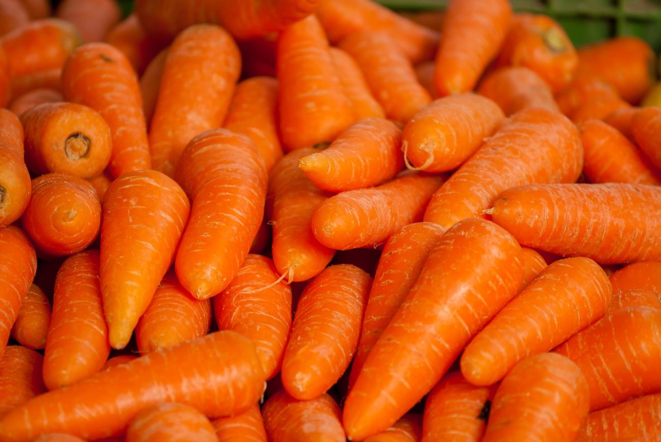 chantennay-carrot